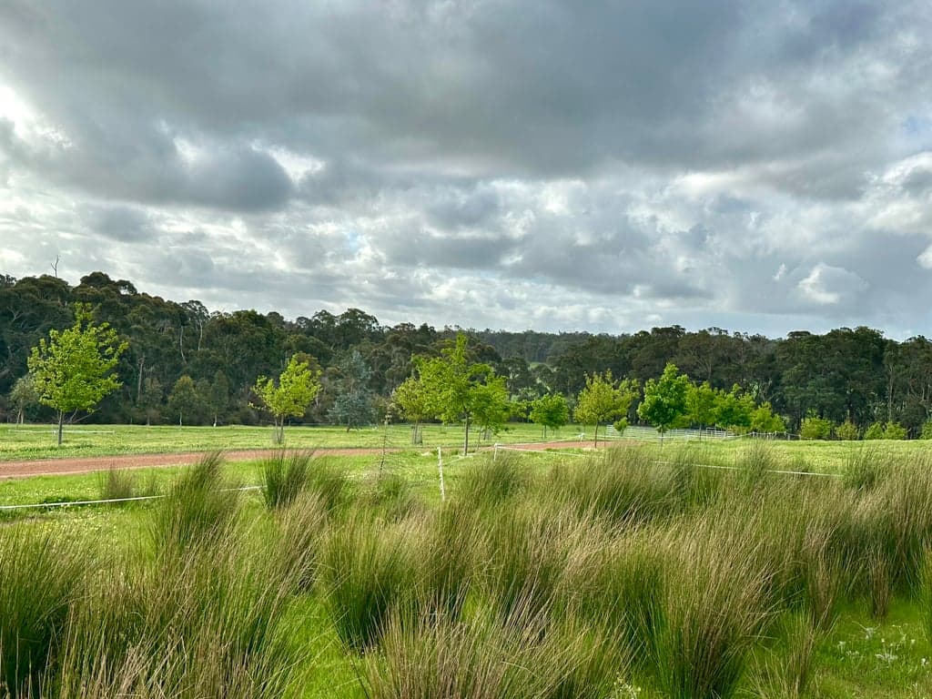 Farm Stay at A horse first accomodation, Treeton, WA (photo 5)