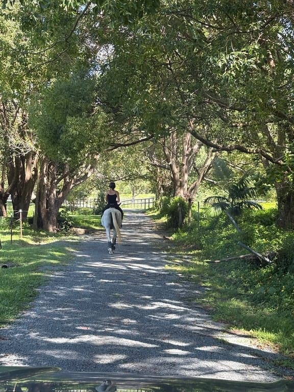 Ubuntu Horse & Farm Stay in Tallebudgera (photo 6)