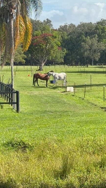 Ubuntu Horse & Farm Stay in Tallebudgera (photo 9)