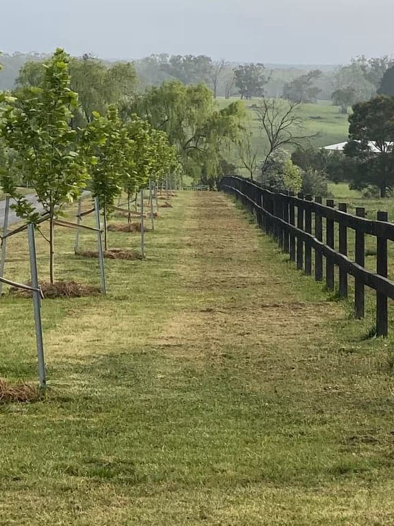 Farm Stay at Cosy Farm Cottage with room for your horses, Sutton Forest, NSW (photo 6)