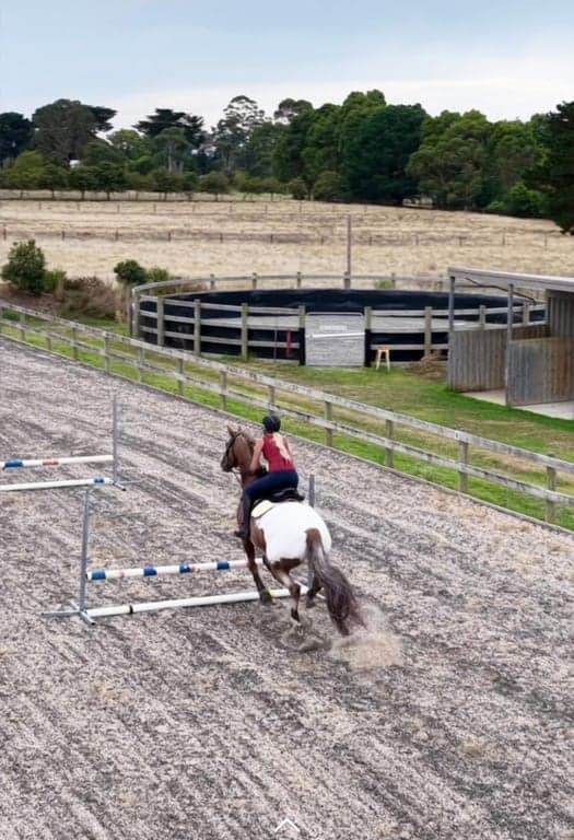 Thumbnail 8 of Premium DIY Horse Agistment