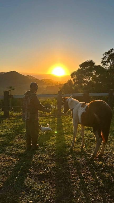 Farm Stay at The Matrix train. Rail trail or wooyung beach horse rides., Burringbar, NSW