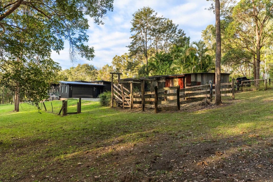 Farm Stay at Endeavour Grey - Mothar Mt Horse & Guest Stay, Mothar Mountain, QLD (photo 8)