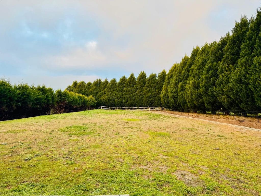 Farm Stay at Airbnb with sweeping views & horse paddocks, Sutton Forest, NSW (photo 3)