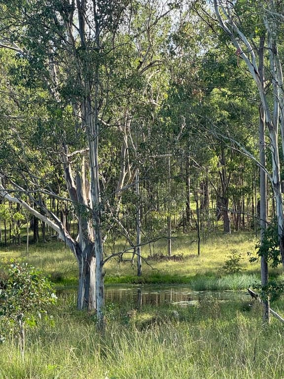 Farm Stay at Long Shadows - Relaxed Country Stay for You & Your Horse, Calvert, QLD (photo 2)