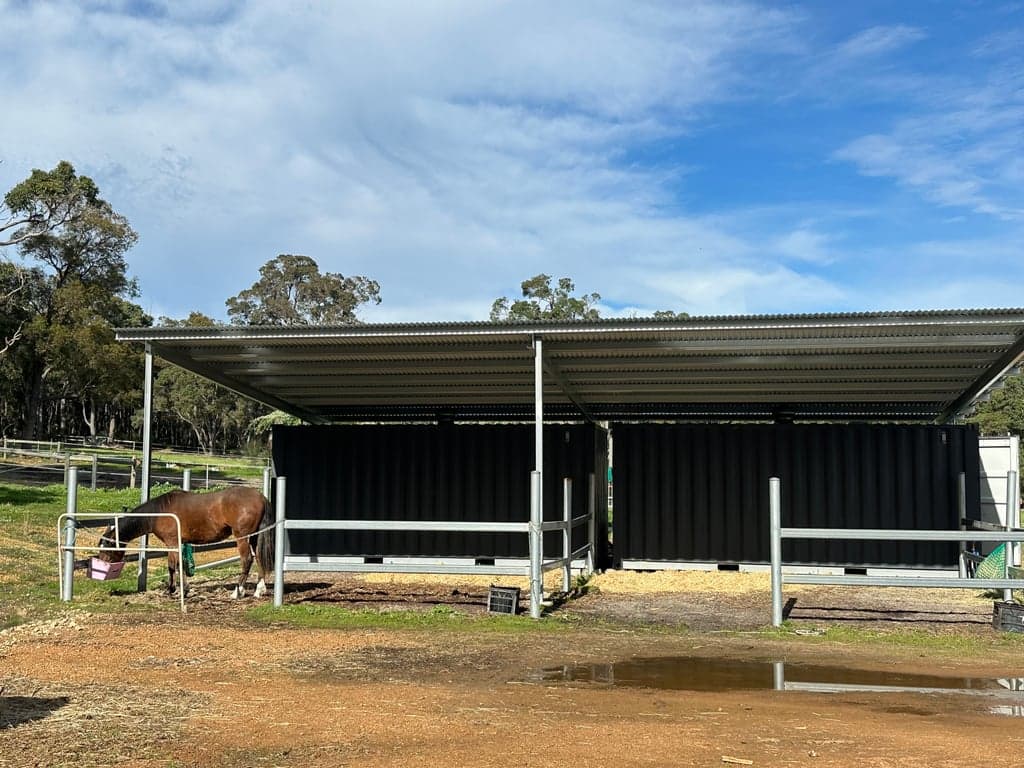 Farm Stay at A horse first accomodation, Treeton, WA (photo 2)