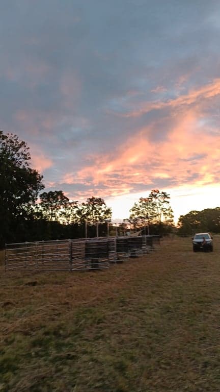 Farm Stay at Safety under Stars and Steel, Hirstglen, QLD (photo 4)