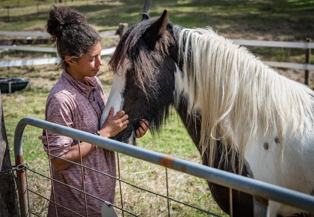 Farm Stay at Stay and play with your horse, Fernances Crossing, NSW (photo 4)