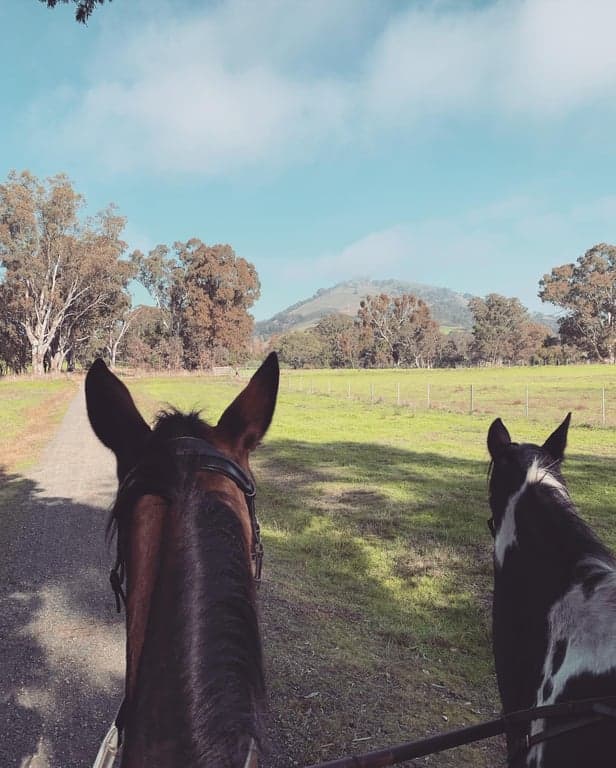 Farm Stay at Camping with Horses, Trawool, VIC (photo 2)
