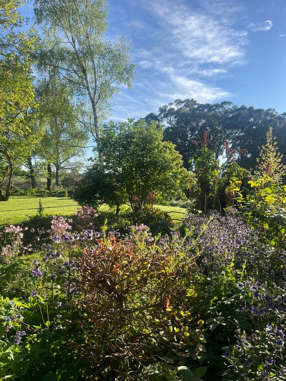 Farm Stay at Trentham garden cottage with lake views & secure paddock (photo 5)