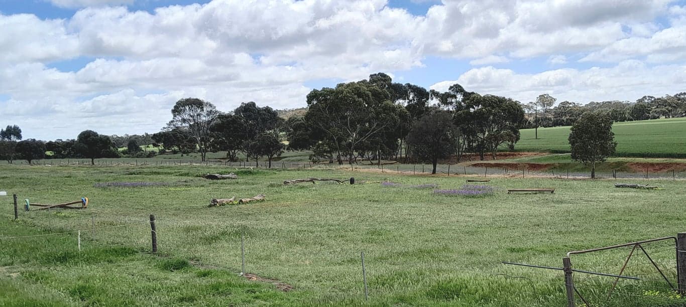 Overnight and short stays for you and your horse., Allendale North, SA (photo 2)