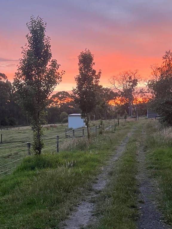 Farm Stay at Ride own horse on Great Southern Rail Trail and stay in Tiny, Nyora, VIC (photo 4)