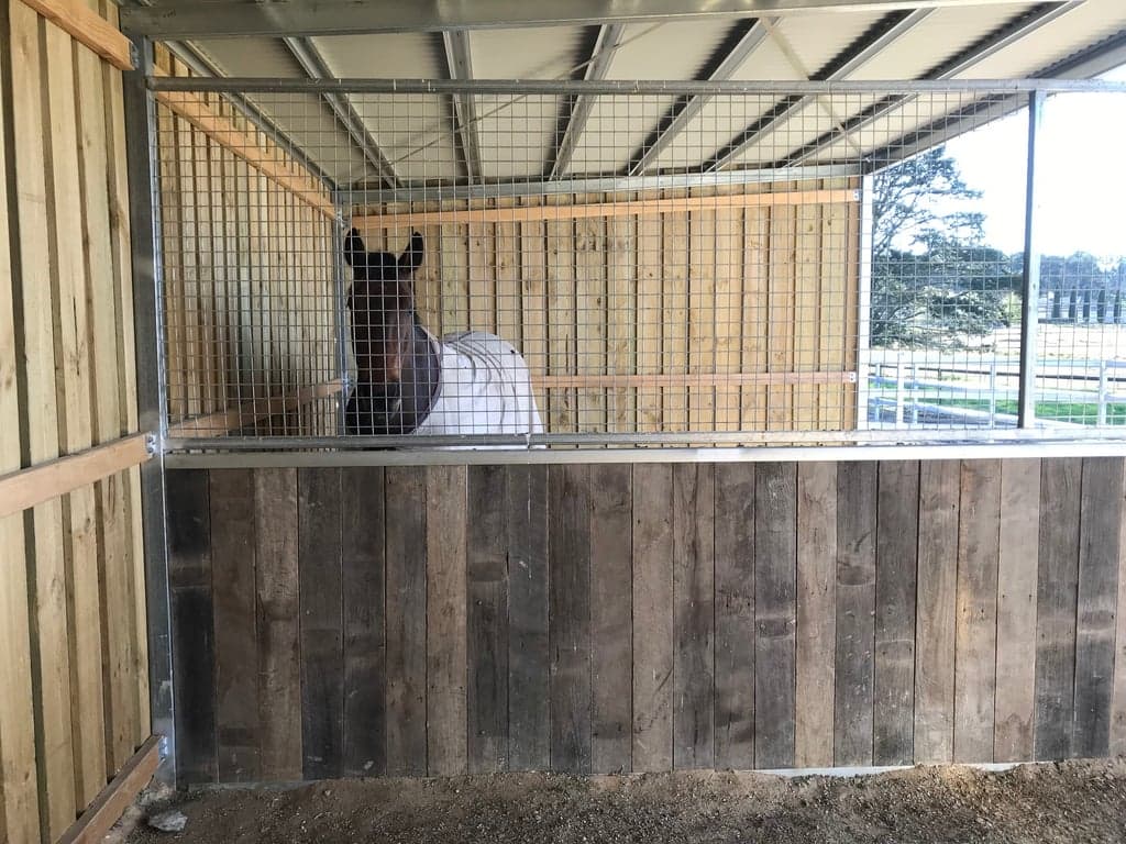 Farm Stay at Cosy Farm Cottage with room for your horses, Sutton Forest, NSW (photo 10)