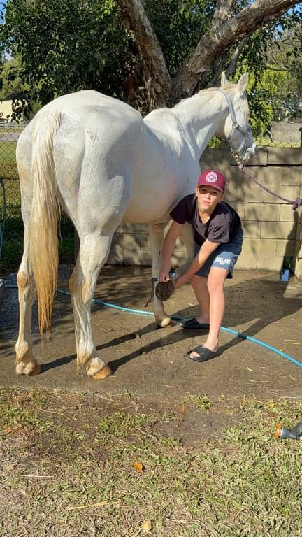Ubuntu Horse & Farm Stay in Tallebudgera (photo 10)