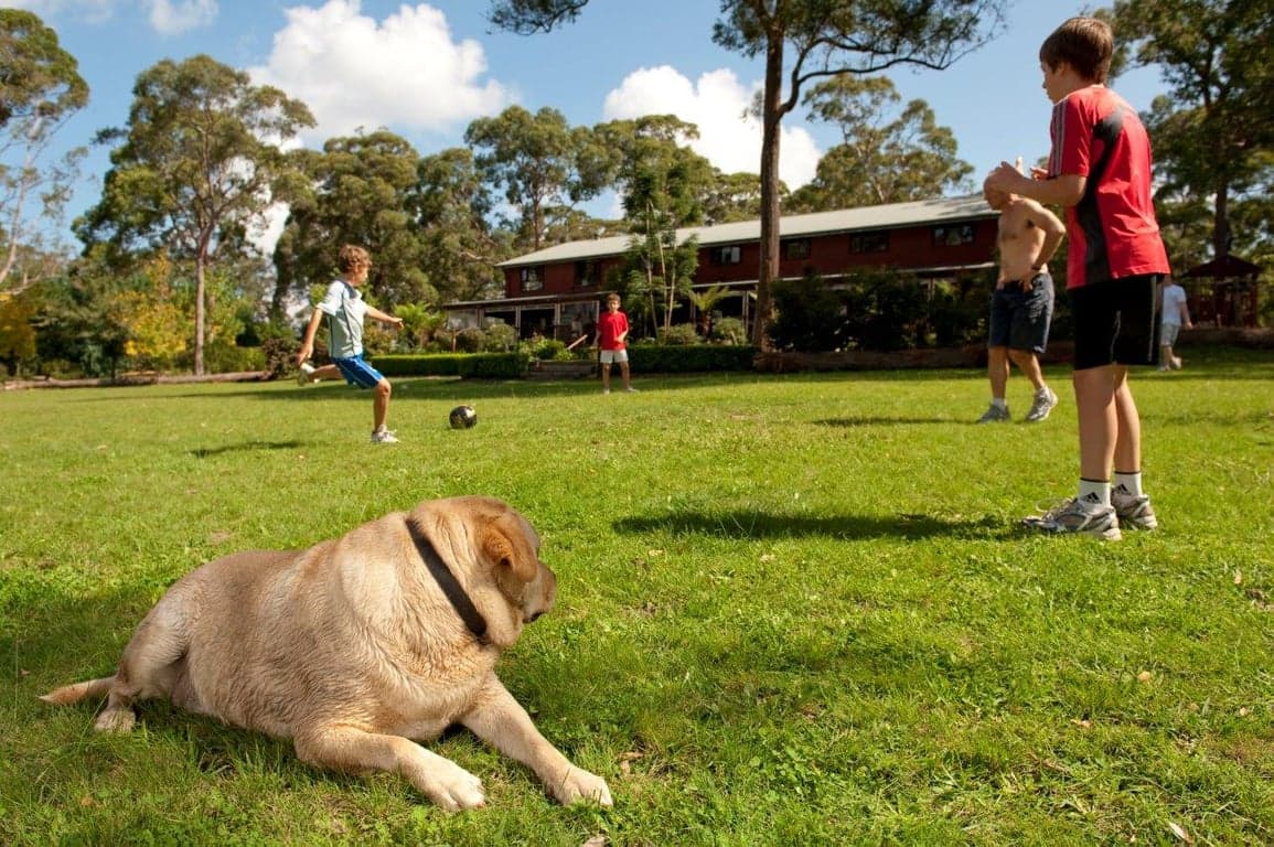 Farm Stay at Bilpin Country Lodge family accommodation in Blue Mtns NSW (photo 9)