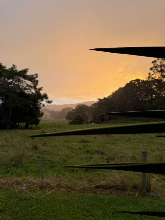 Farm Stay at Saddles, Surf and Sips @ The Rustic Paddock, Crabbes Creek, NSW (photo 4)