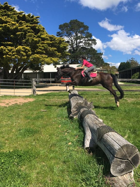 Farm Stay at Holiday with your horse, dog and besties., Avoca, NSW (photo 7)