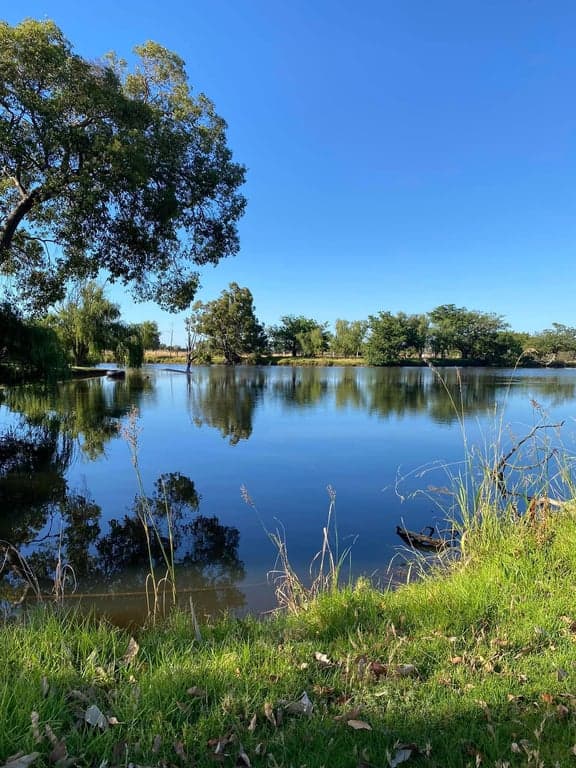 Farm Stay at Cosy cottage and big paddocks. Perfect for short stay, North Dandalup, WA (photo 6)