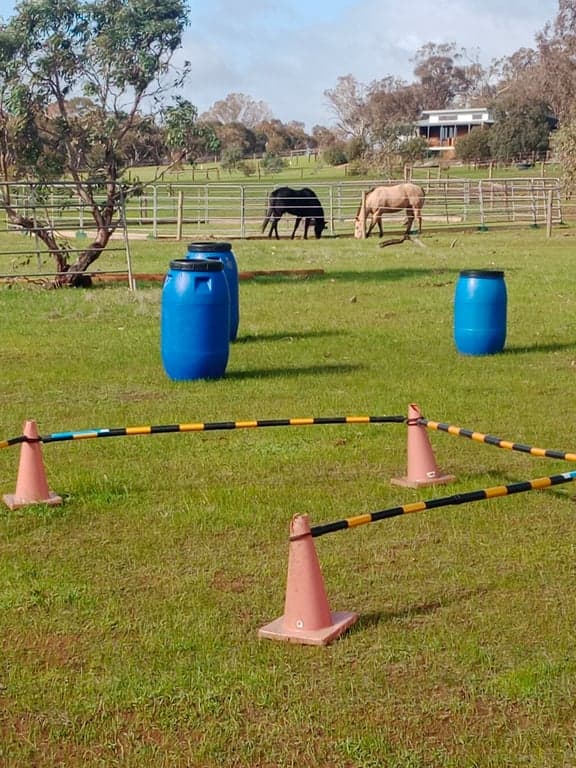 Short stay holiday with your horse traveling overnight stays, Kanmantoo, SA (photo 7)