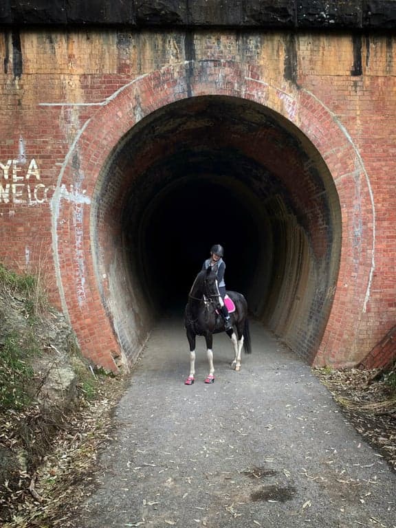 Farm Stay at Camping with Horses, Trawool, VIC (photo 4)