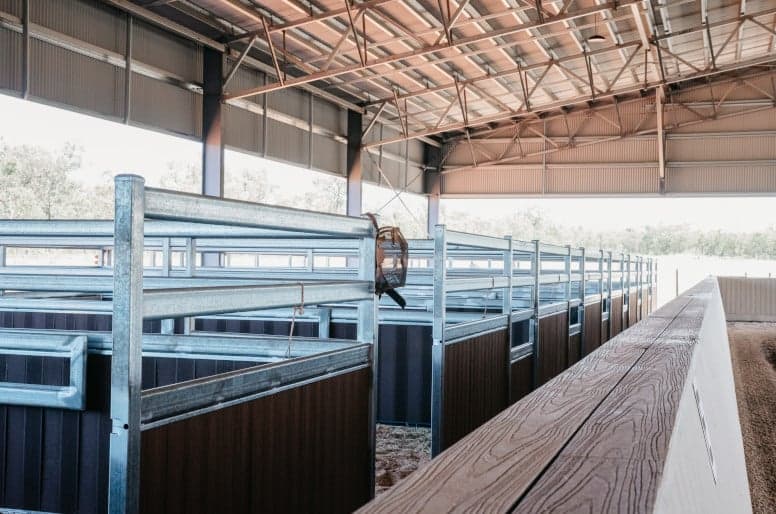 Farm Stay at Stay at a Working Equestrian Centre, Mareeba, QLD (photo 3)