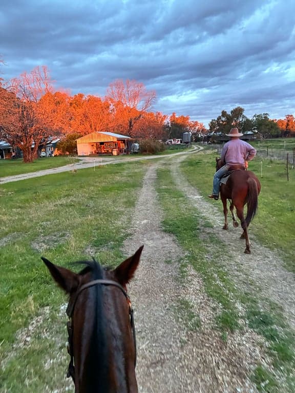Namoi River, Kaputar Ranges & your farm stay in between!, Harparary, NSW (photo 6)