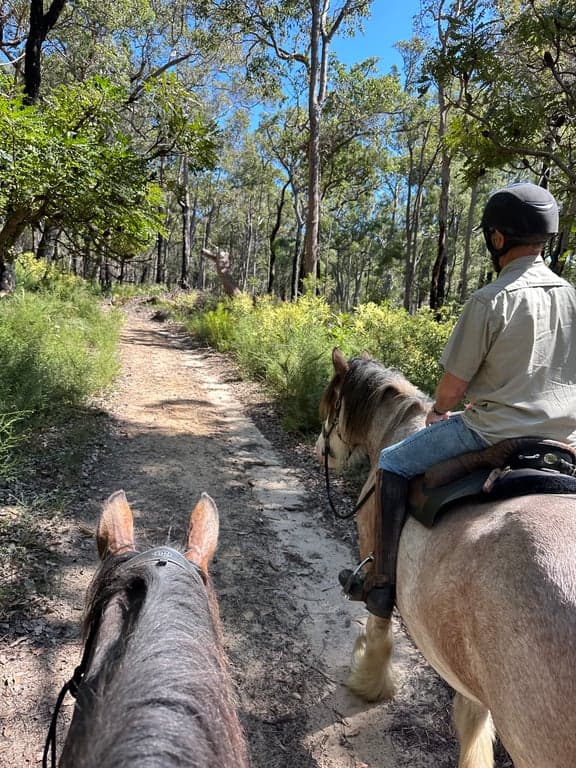 Farm Stay at A horse first accomodation, Treeton, WA (photo 4)