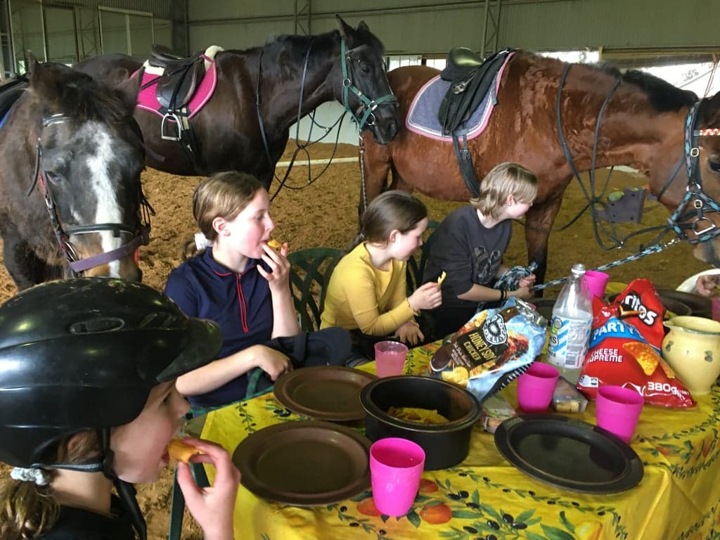 Farm Stay at Holiday with your horse, dog and besties., Avoca, NSW (photo 8)