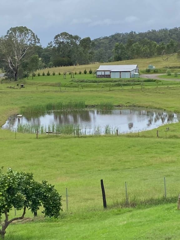 Farm Stay at Mulla Villa Farm with horse agistment, Wollombi, NSW (photo 10)