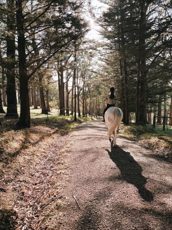 Farm Stay at Harvest Ranch Holiday with your Horse, Tynong North, VIC (photo 2)
