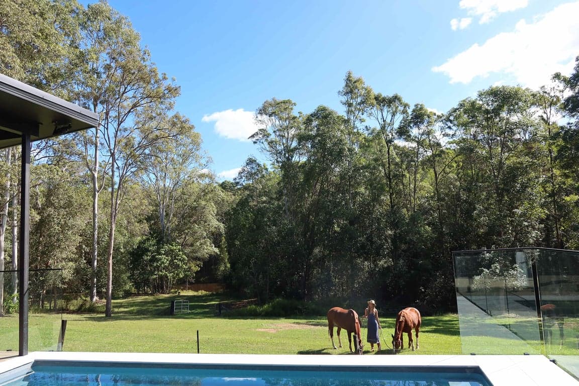 Farm Stay at Endeavour Grey - Mothar Mt Horse & Guest Stay, Mothar Mountain, QLD (photo 3)