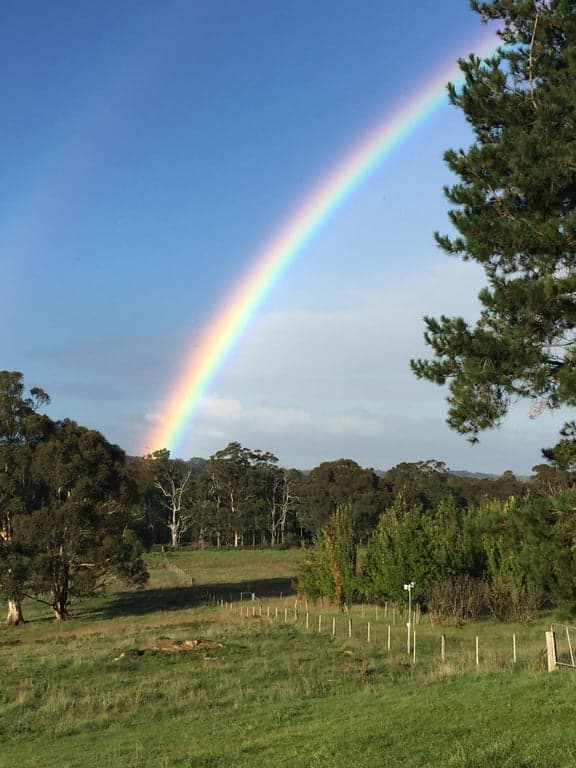 Farm Stay at Hidden Brook Stays perfect for you and your horse!, Bundanoon, NSW