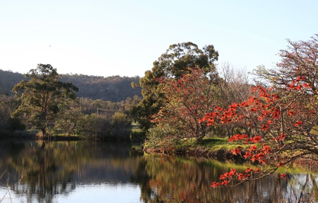 Farm Stay at Cosy cottage and big paddocks. Perfect for short stay, North Dandalup, WA (photo 9)
