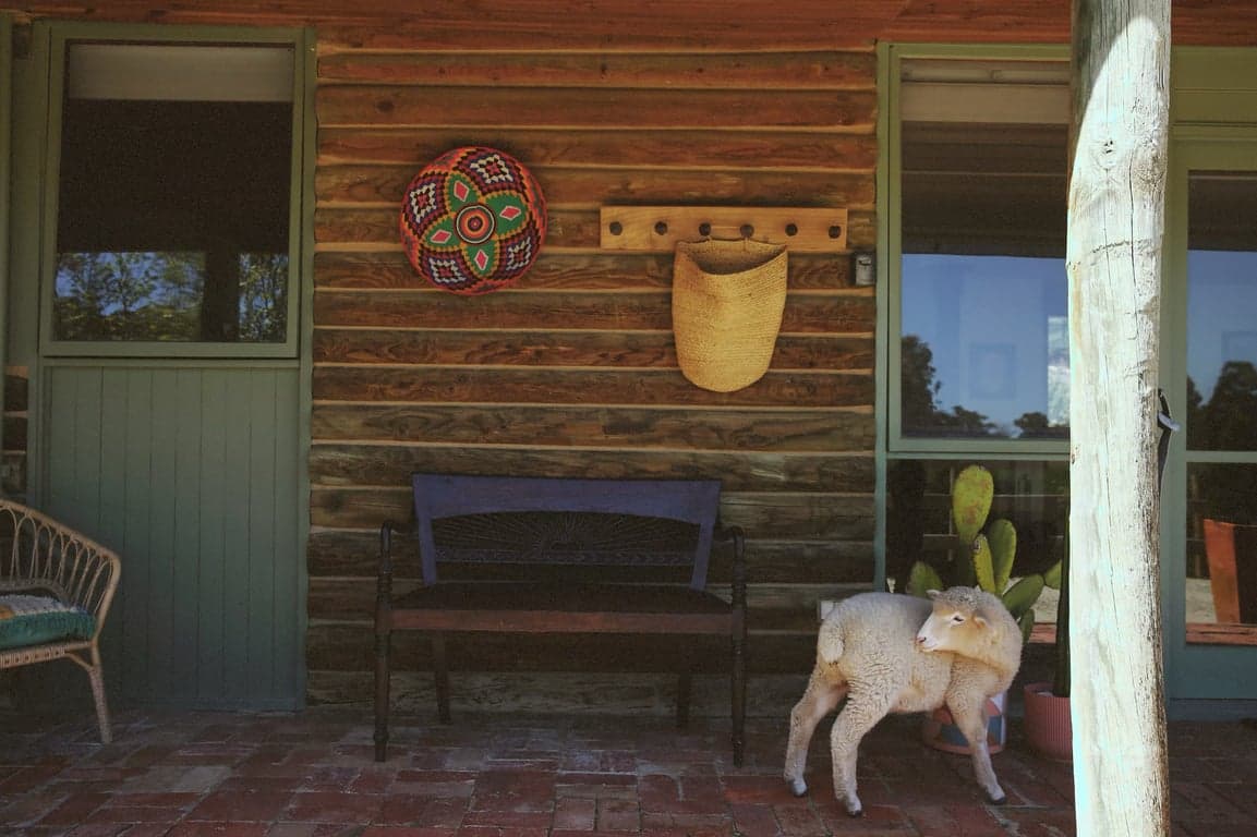 Farm Stay at Harvest Ranch Holiday with your Horse, Tynong North, VIC (photo 10)