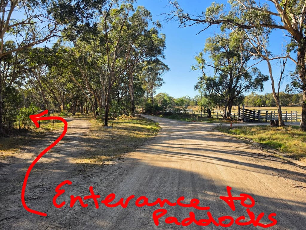 Farm Stay at Donnellys Castle Bush & Horse Paddock Camping, Pozieres, QLD (photo 9)
