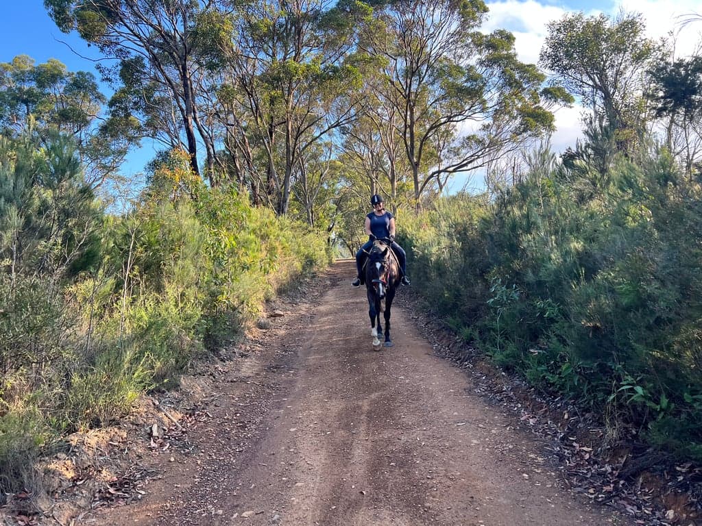 Farm stay with paddock and trails at the frontdoor, Balmoral, NSW (photo 9)