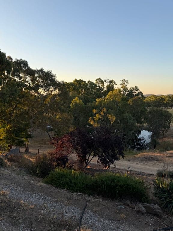 A Little Bit Country Farm Stay, Birdwood, SA (photo 10)