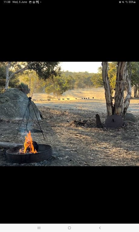 Farm Stay at Haddlestone Farm. Camp with your horse and ride for miles!, Trigwell, WA (photo 3)