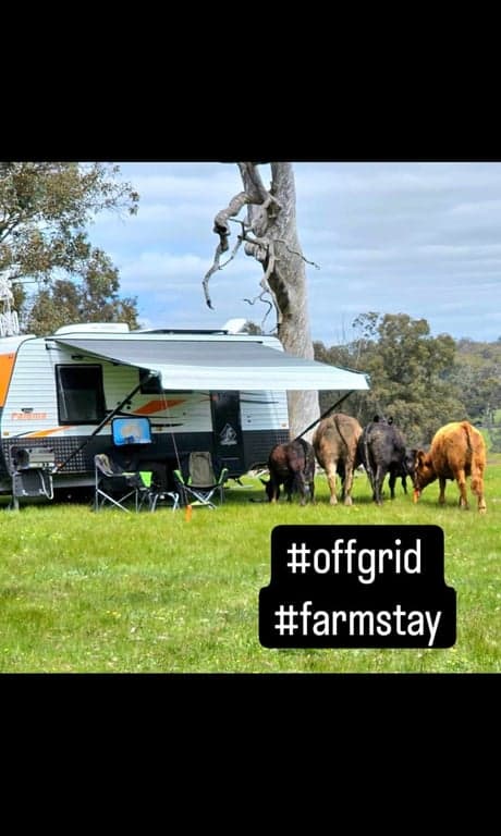 Farm Stay at Haddlestone Farm. Camp with your horse and ride for miles!, Trigwell, WA (photo 8)