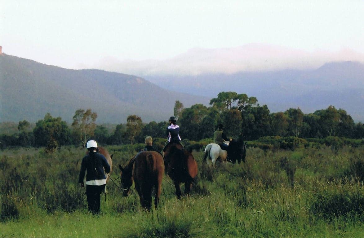 Campsite amenities + large overnight yarding for horses, Mooralla, VIC (photo 9)