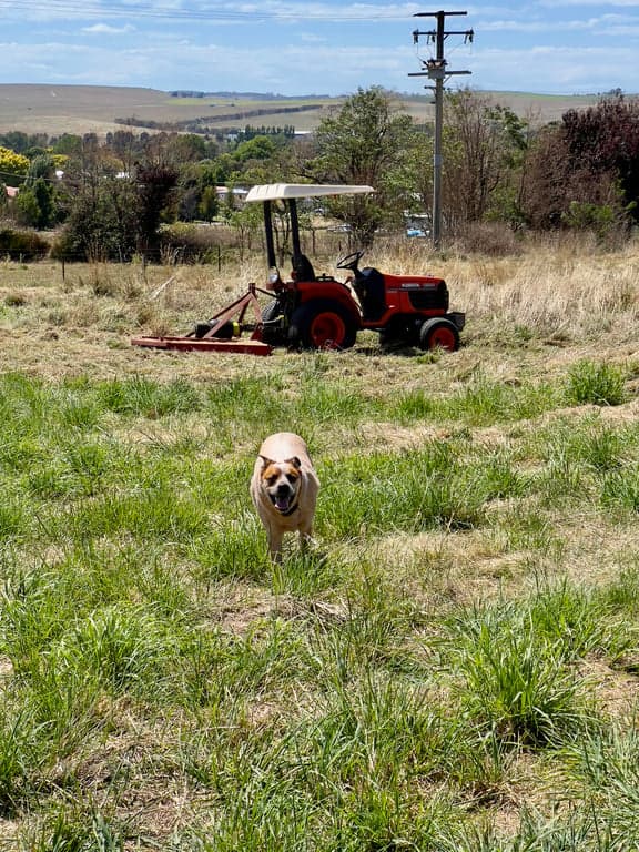 Farm Stay at Anahdale Cottage & Horse Stays, Blayney, NSW (photo 5)