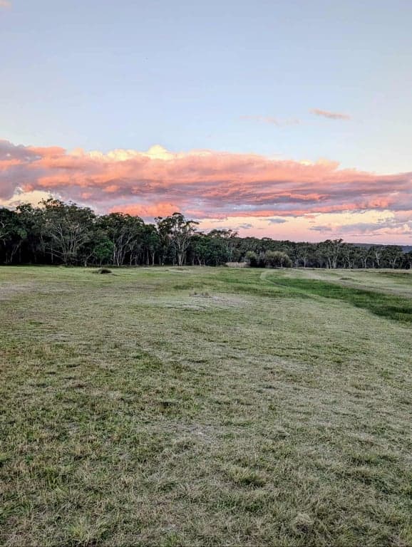 Farm Stay at Donnellys Castle Bush & Horse Paddock Camping, Pozieres, QLD (photo 7)
