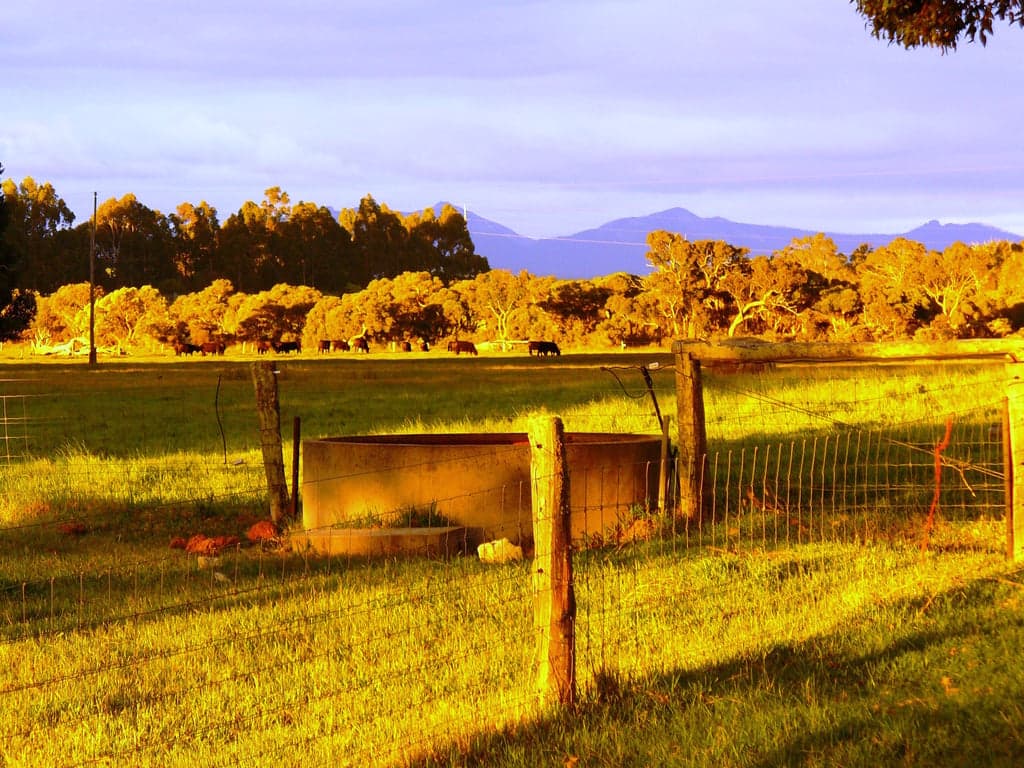 Farm Stay at SAFE FOR HORSES AND COSY ACCOMMODATION FOR THEIR RIDERS, Narrikup, WA (photo 10)