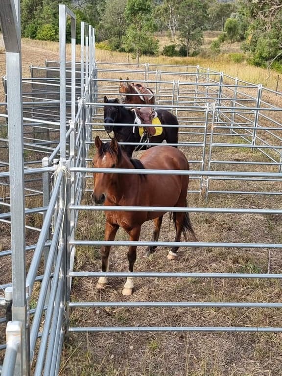 Farm Stay at Safety under Stars and Steel, Hirstglen, QLD (photo 5)