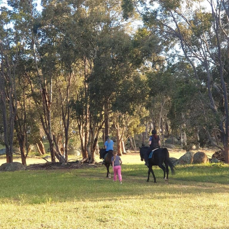 Farm Stay at Haddlestone Farm. Camp with your horse and ride for miles!, Trigwell, WA
