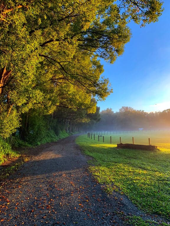 Ubuntu Horse & Farm Stay in Tallebudgera