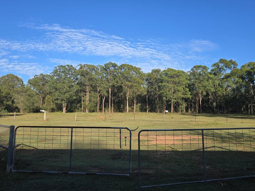 Welcome to Mount Mulgowie-off grid, horse friendly farm stay, Buaraba, QLD (photo 7)