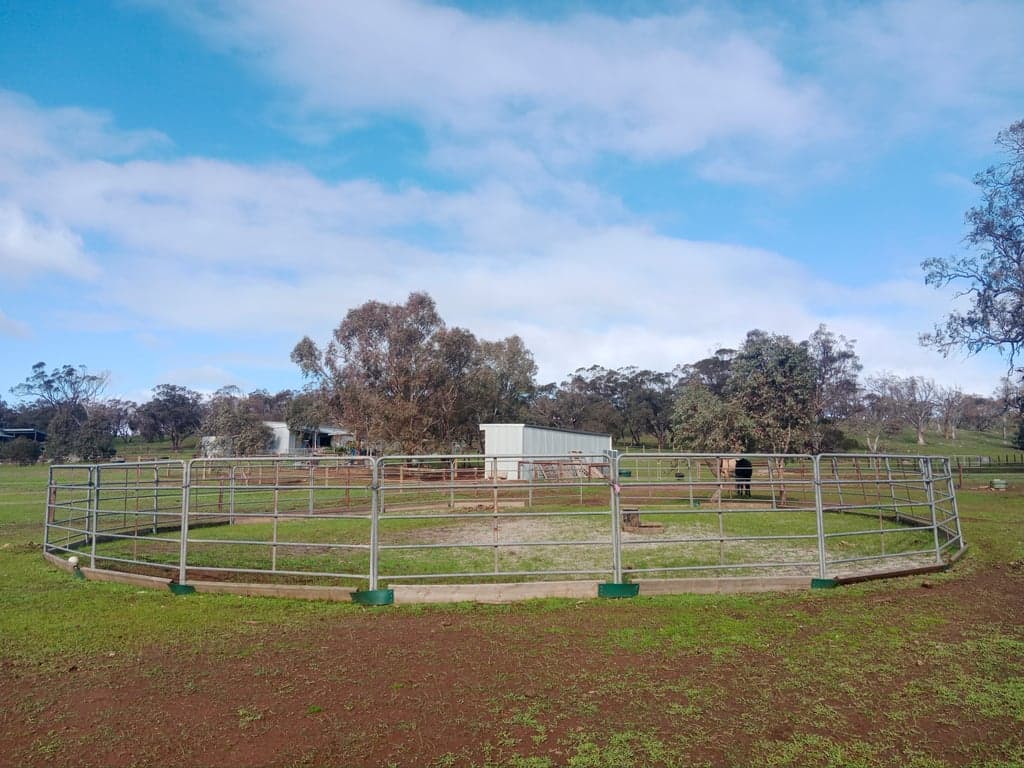 Short stay holiday with your horse traveling overnight stays, Kanmantoo, SA (photo 6)