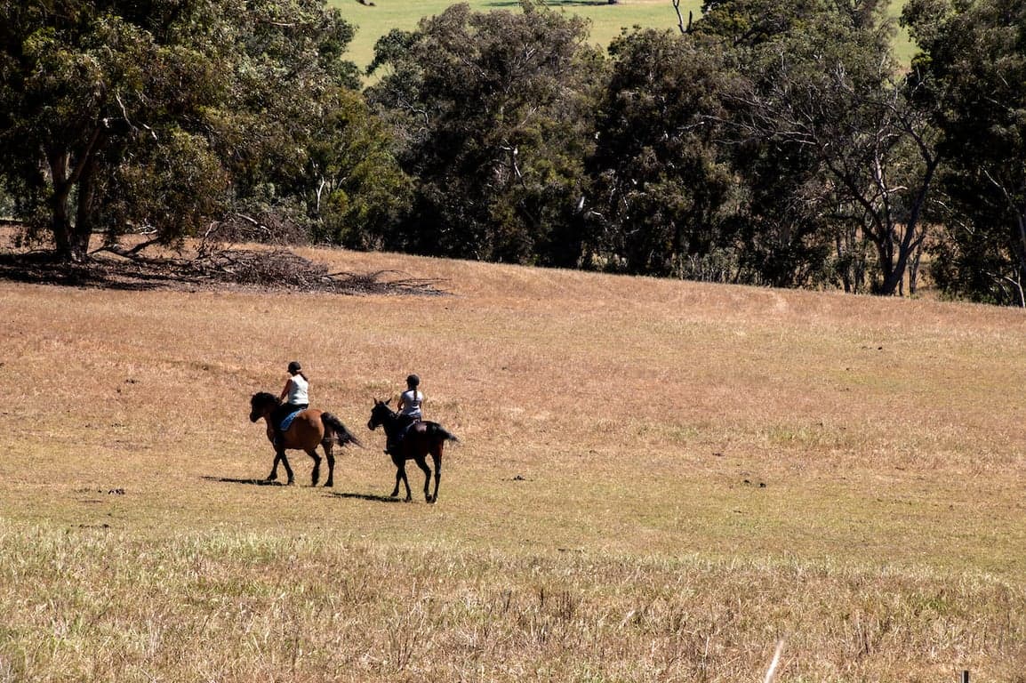 Farm Stay at Haddlestone Farm. Camp with your horse and ride for miles!, Trigwell, WA (photo 5)