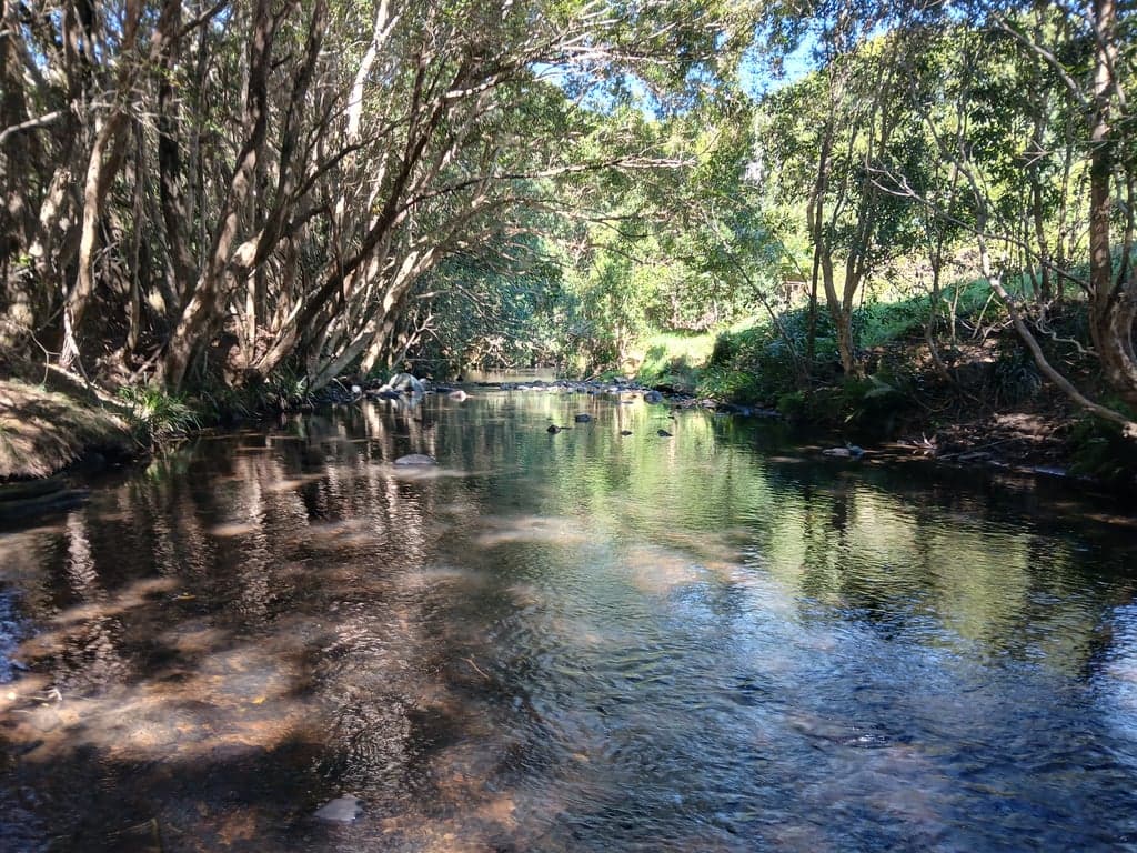Homeville Horse Camp Farmstay, Elands, NSW (photo 5)